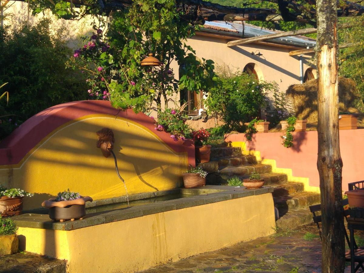 Podere Di Maggio - Glamping Tent 3 Санта-Фьора Экстерьер фото
